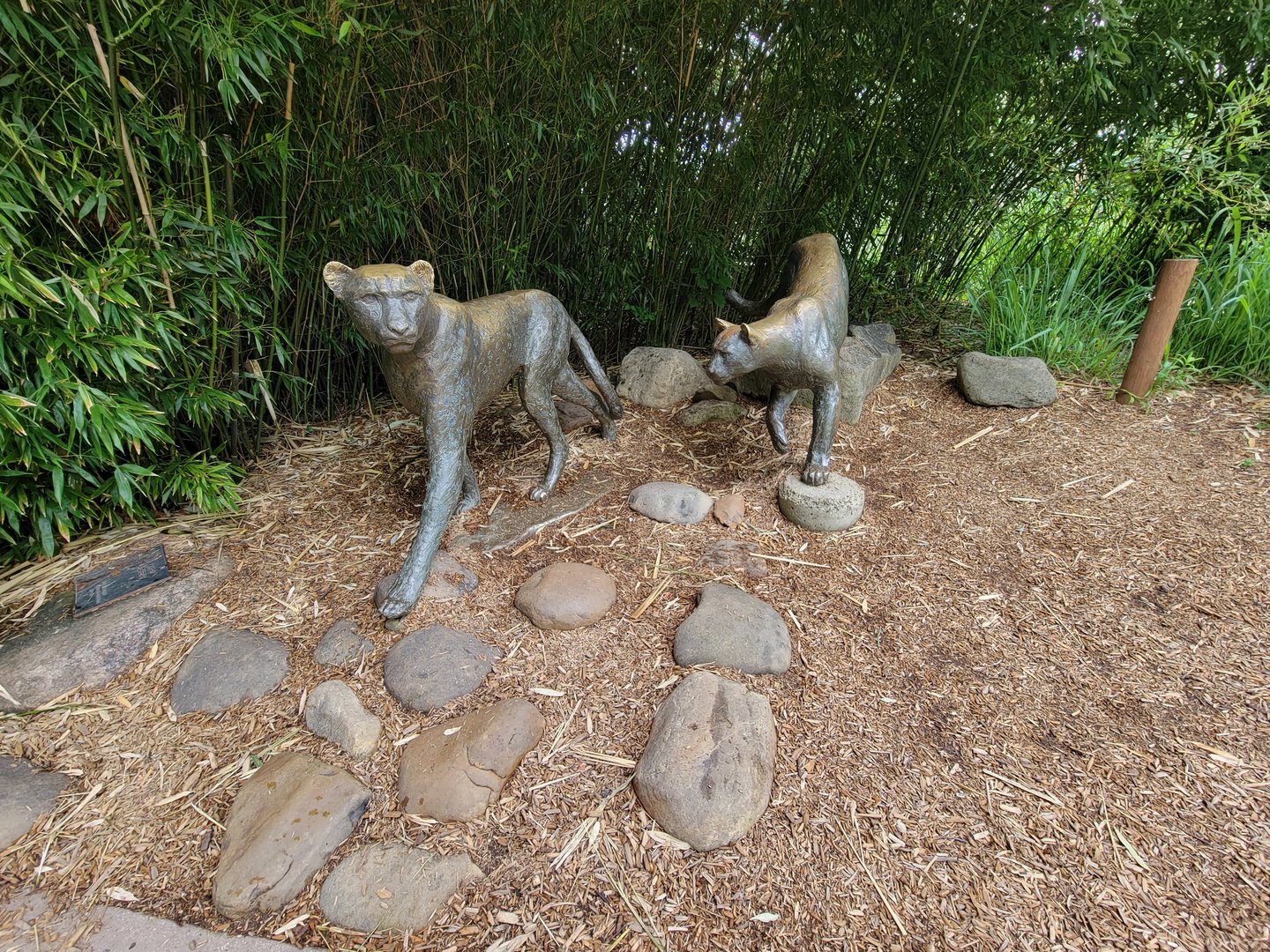 Cincinnati Zoo 5/22 - Cheetah Encounter, statues