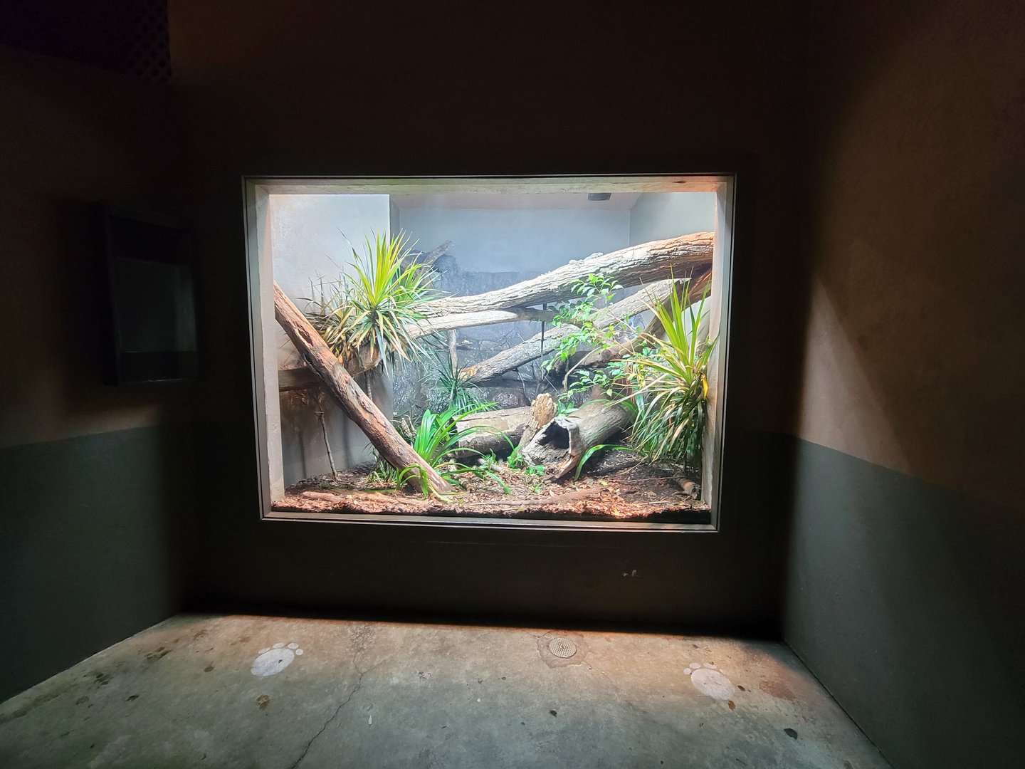 Cincinnati Zoo 5/22 - Dragons!, unsigned monitor