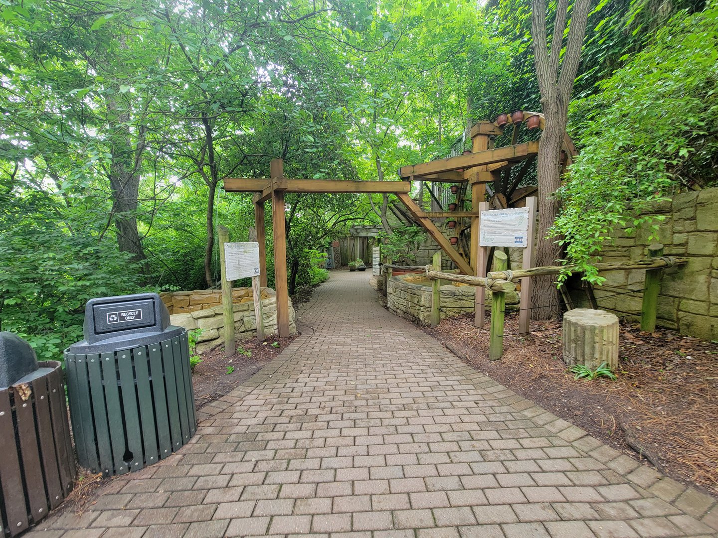 Cincinnati Zoo 5/22 - Garden of Peace