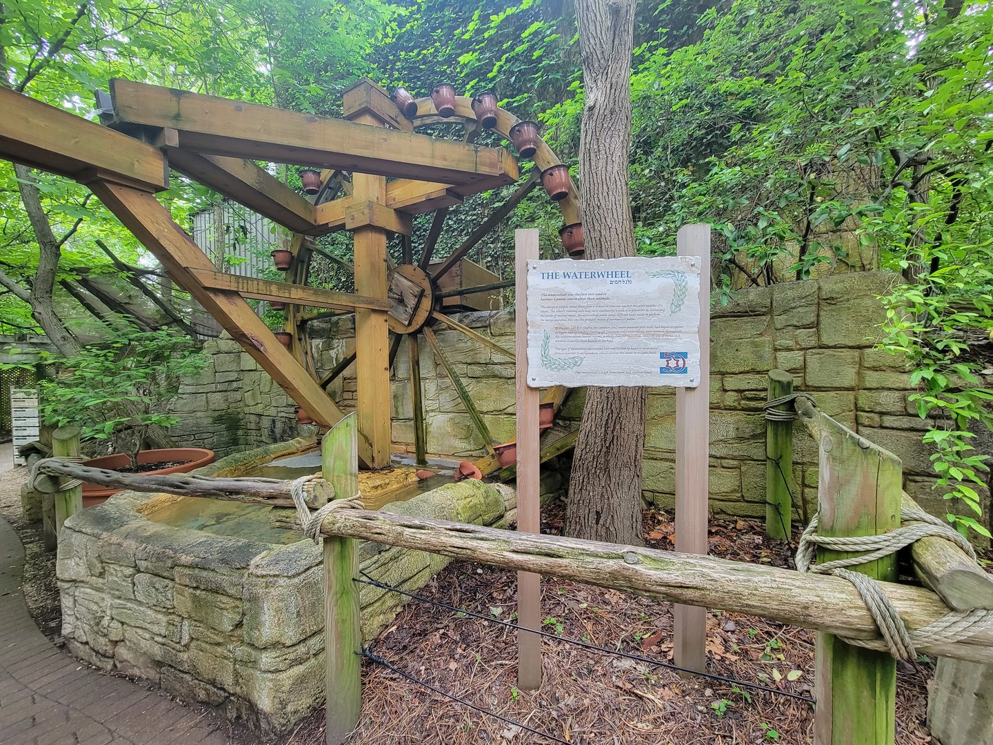 Cincinnati Zoo 5/22 - Garden of Peace