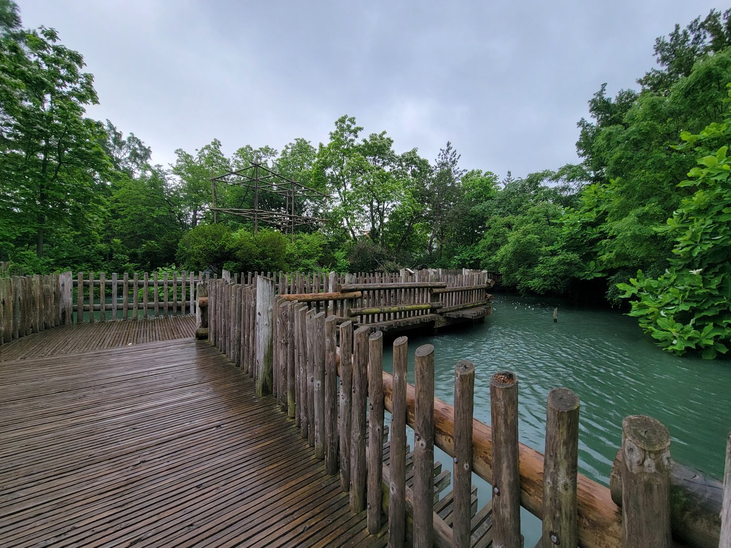 Cincinnati Zoo 5/22 - Gibbon Island, Siamang