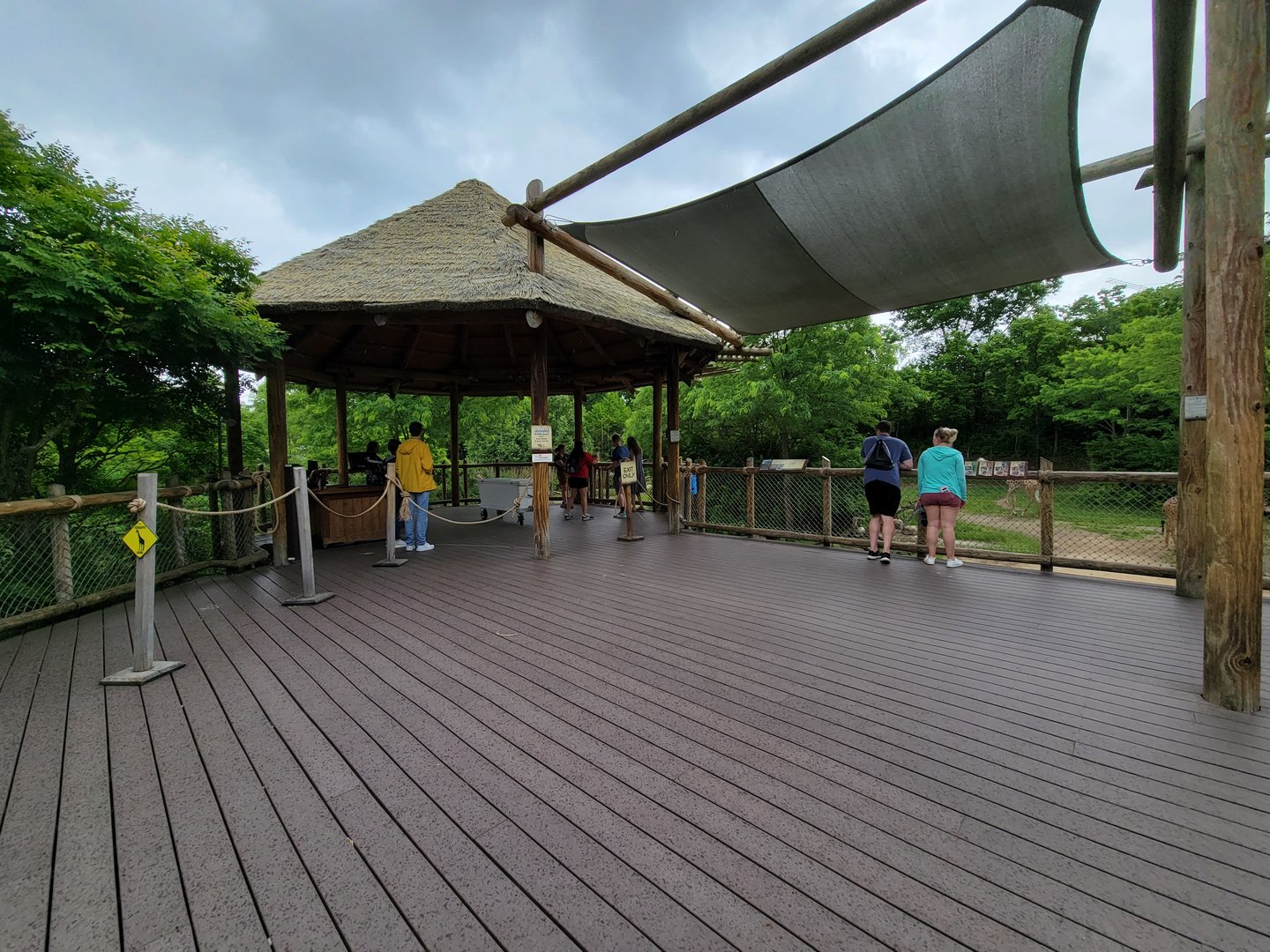 Cincinnati Zoo 5/22 - Giraffe Ridge, feeding platform