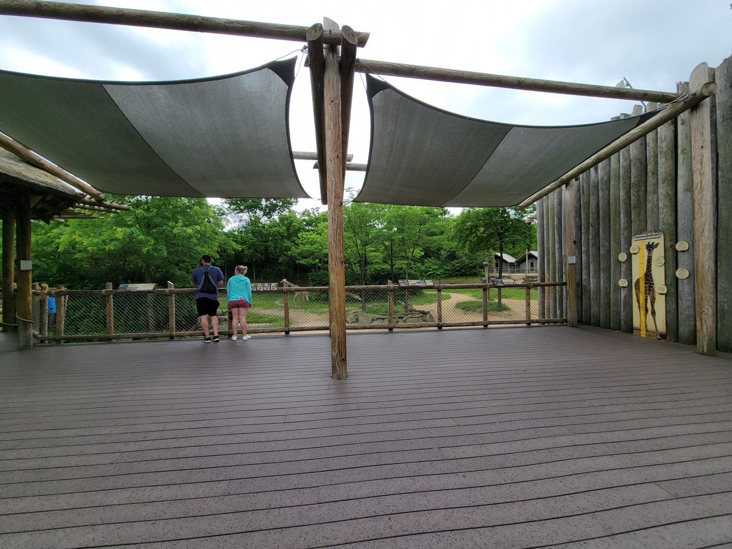 Cincinnati Zoo 5/22 - Giraffe Ridge