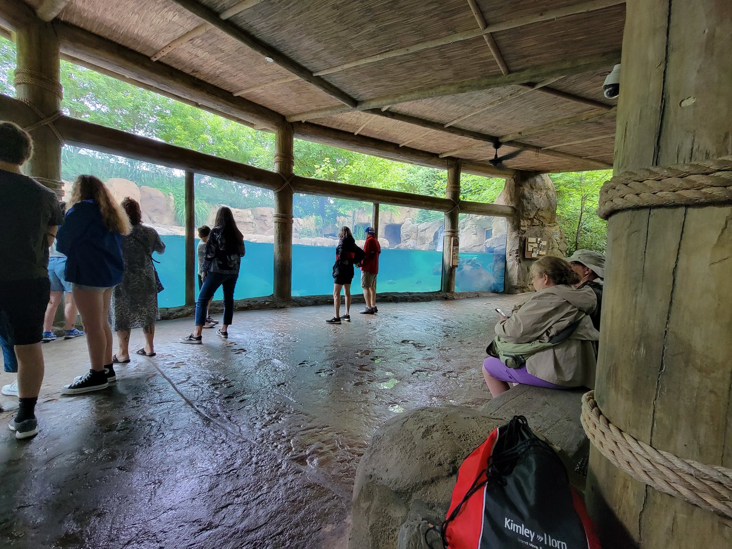 Cincinnati Zoo 5/22 - Hippo Cove