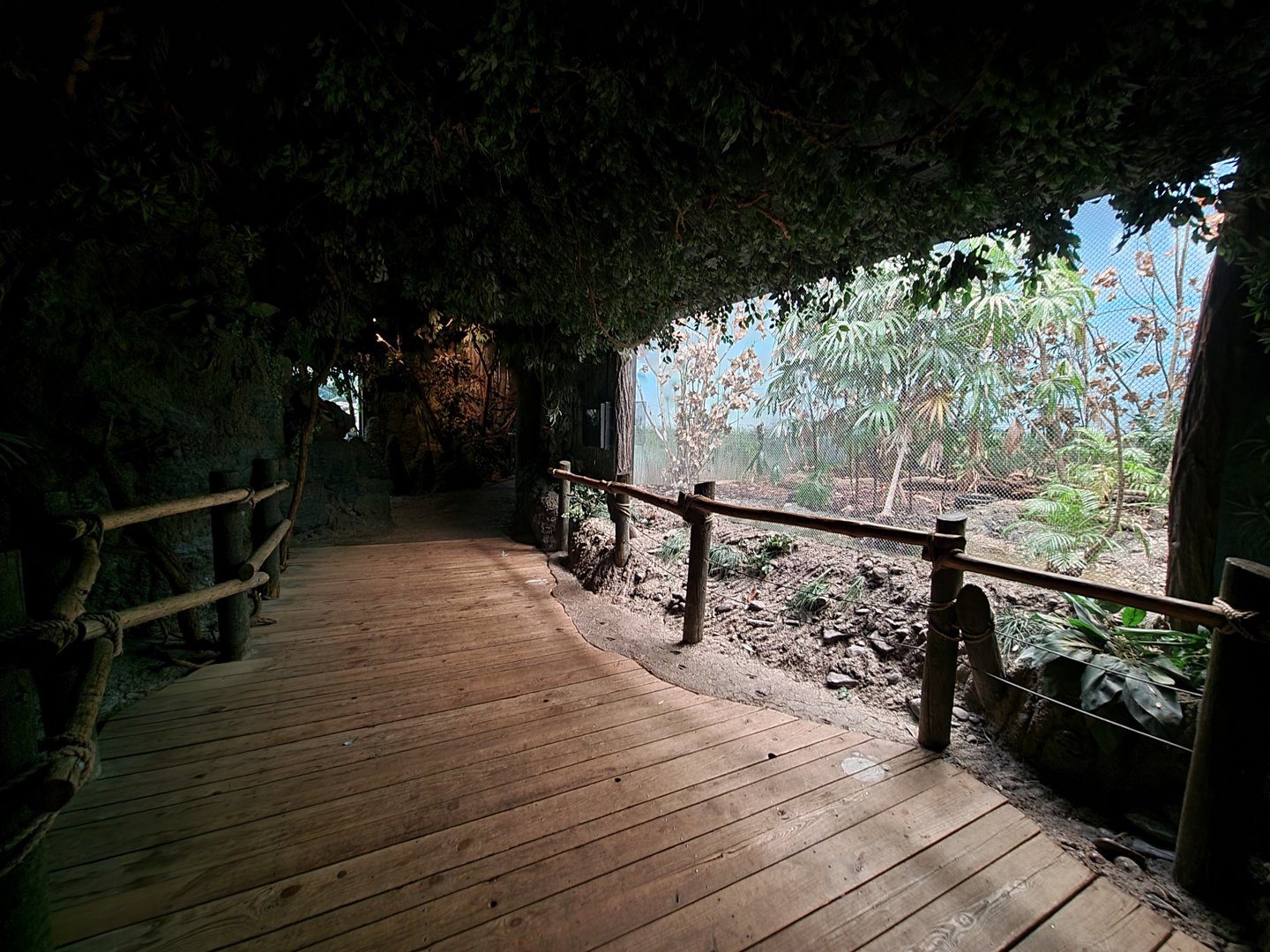 Cincinnati Zoo 5/22 - Jungle Trails, Africa building, aviary