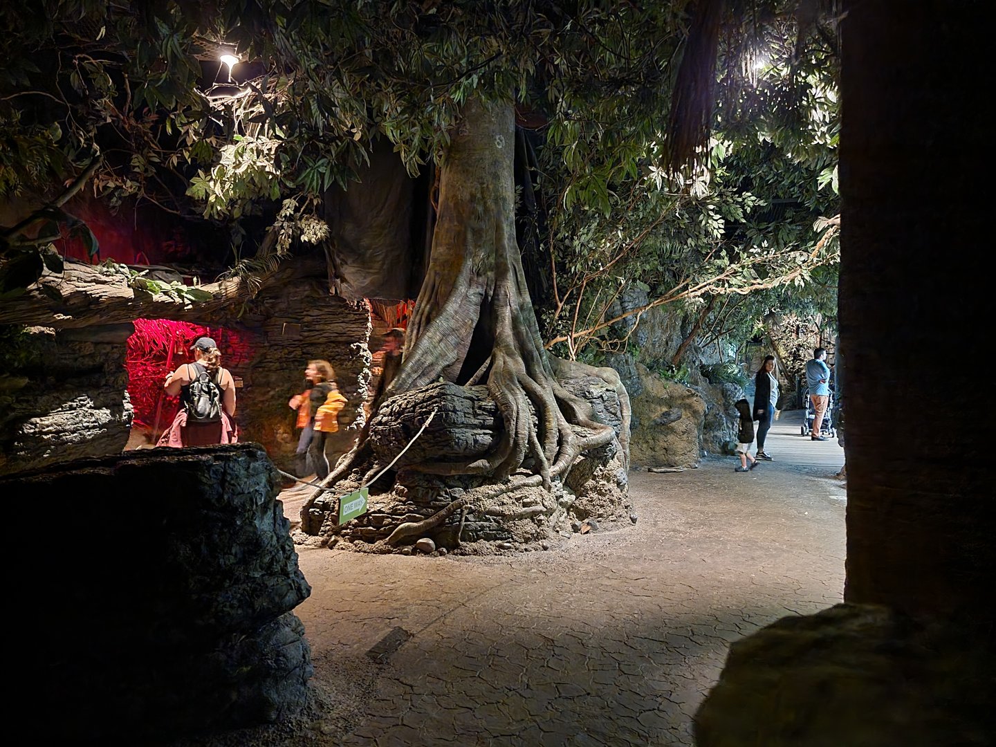 Cincinnati Zoo 5/22 - Jungle Trails, Africa building