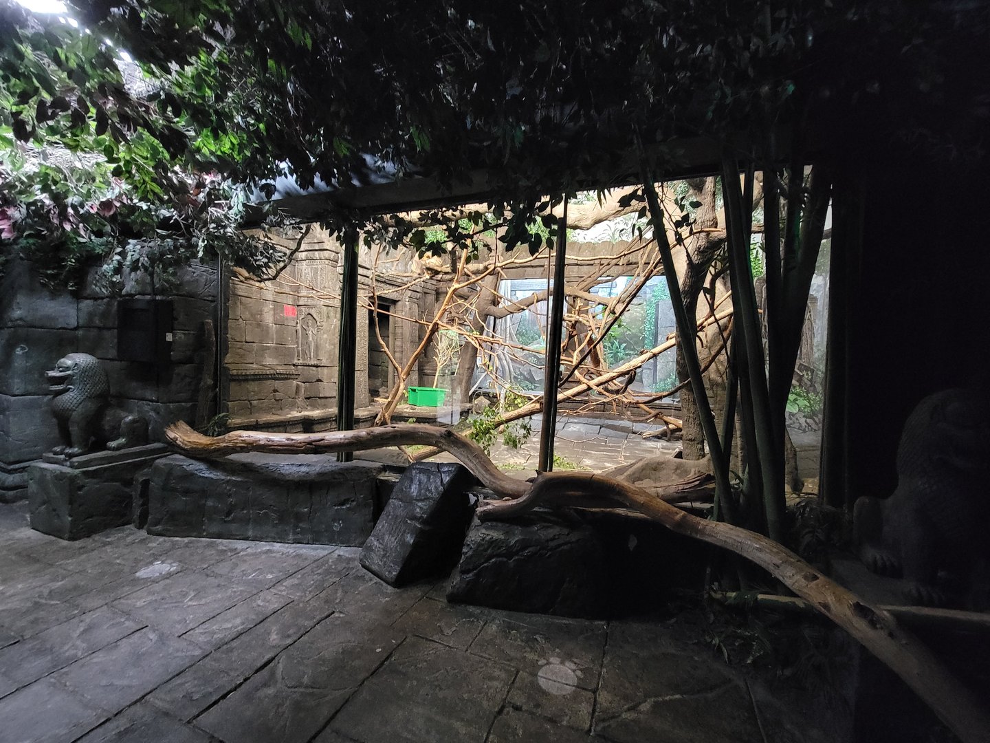 Cincinnati Zoo 5/22 - Jungle Trails, Asia building, black howlers