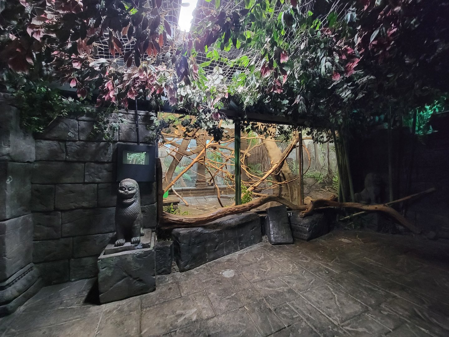 Cincinnati Zoo 5/22 - Jungle Trails, Asia building, black howlers