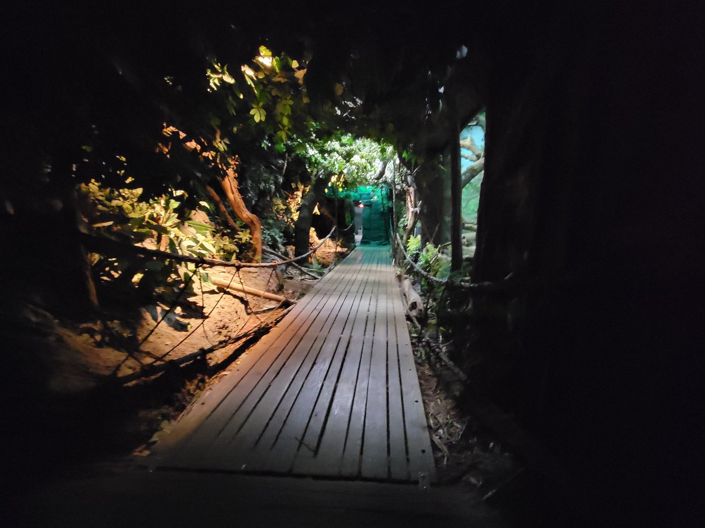 Cincinnati Zoo 5/22 - Jungle Trails, Asia building