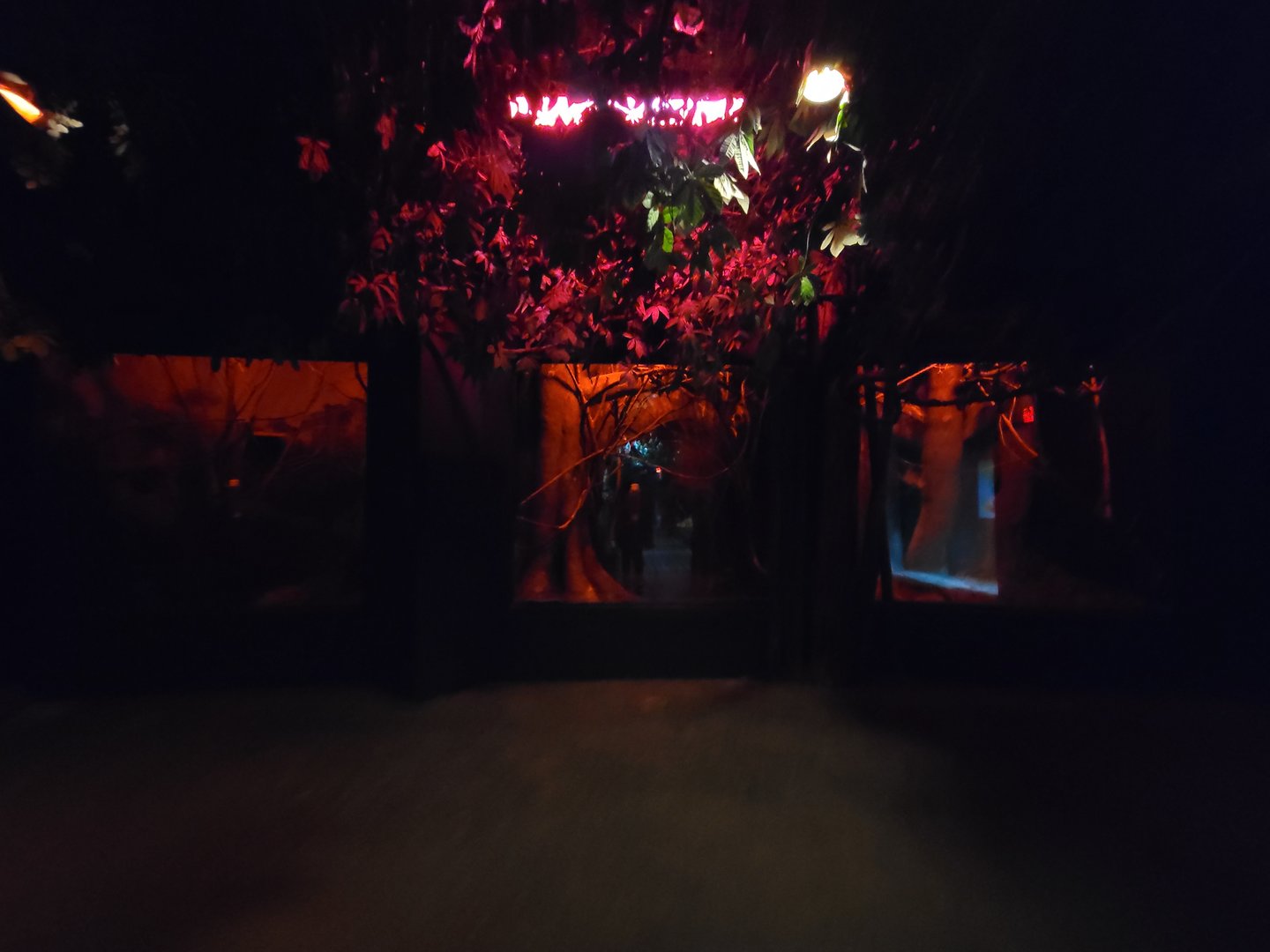 Cincinnati Zoo 5/22 - Jungle Trails, Asia building