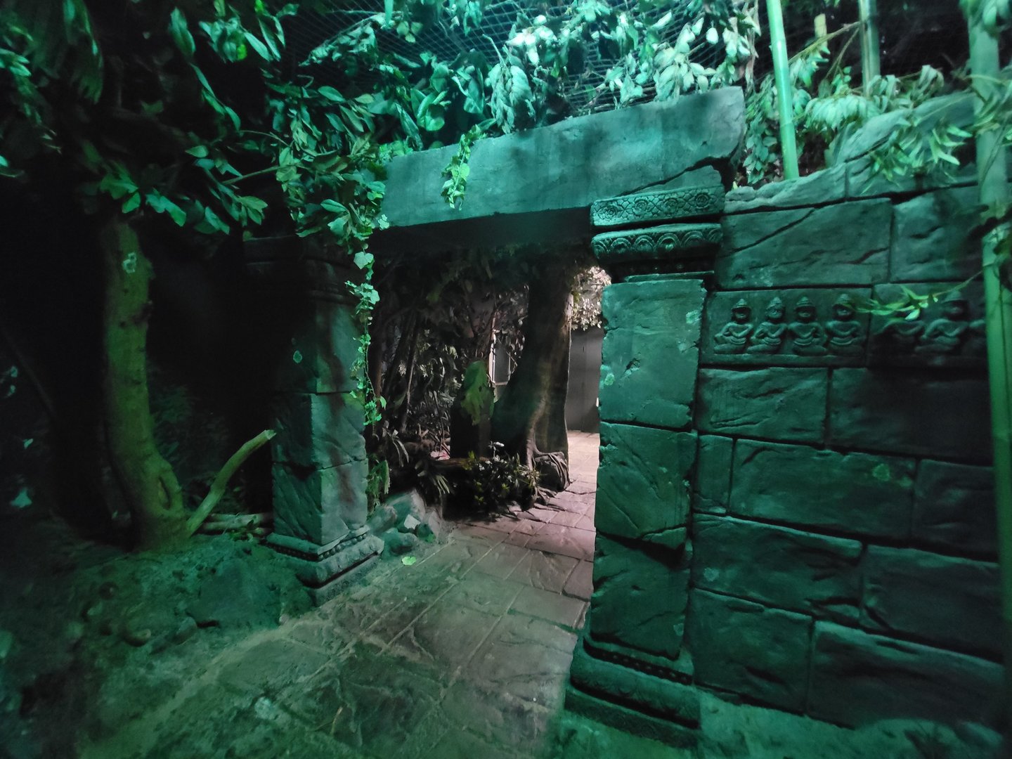 Cincinnati Zoo 5/22 - Jungle Trails, Asia building