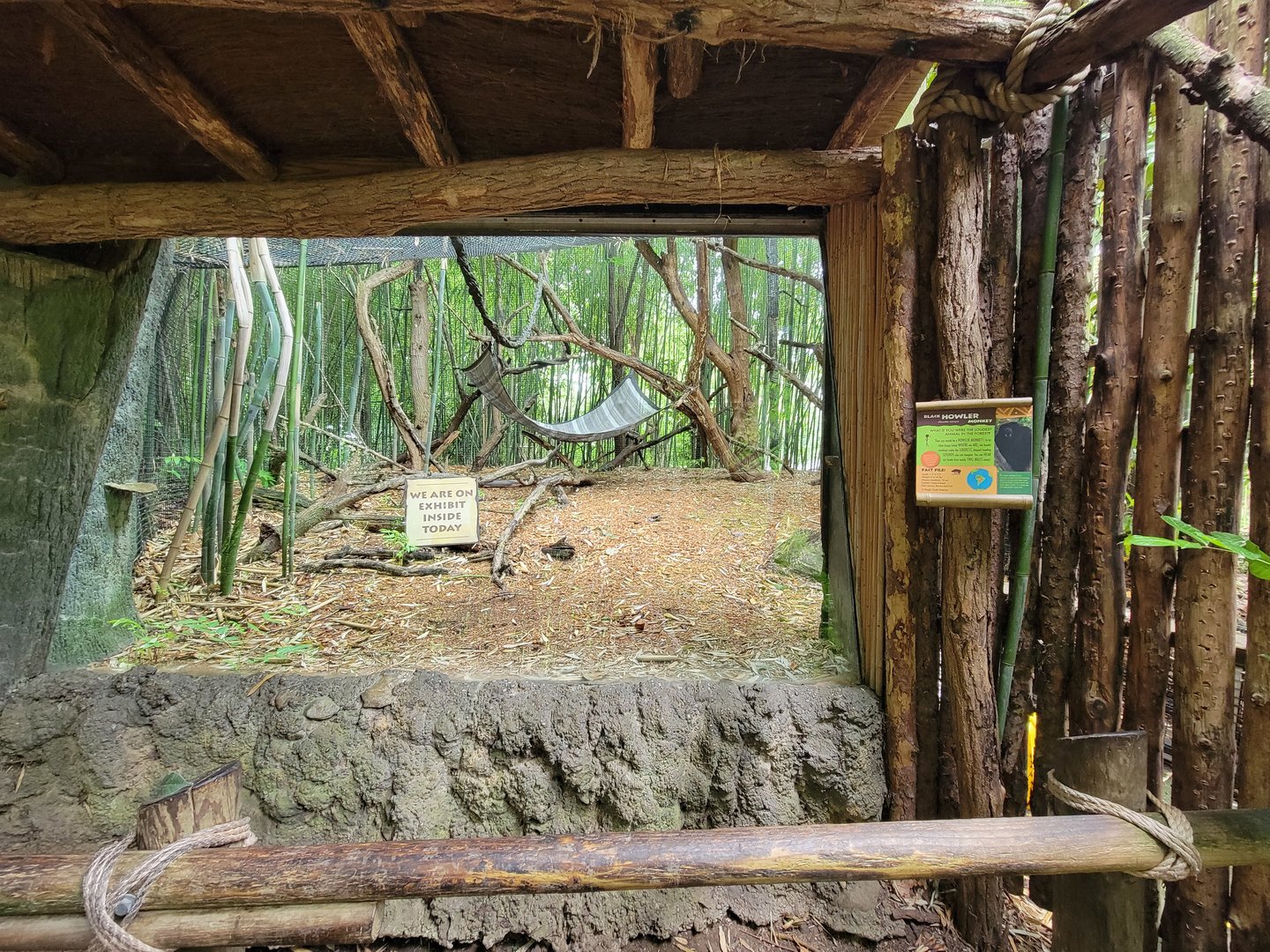 Cincinnati Zoo 5/22 - Jungle Trails, black howlers outdoor exhibit