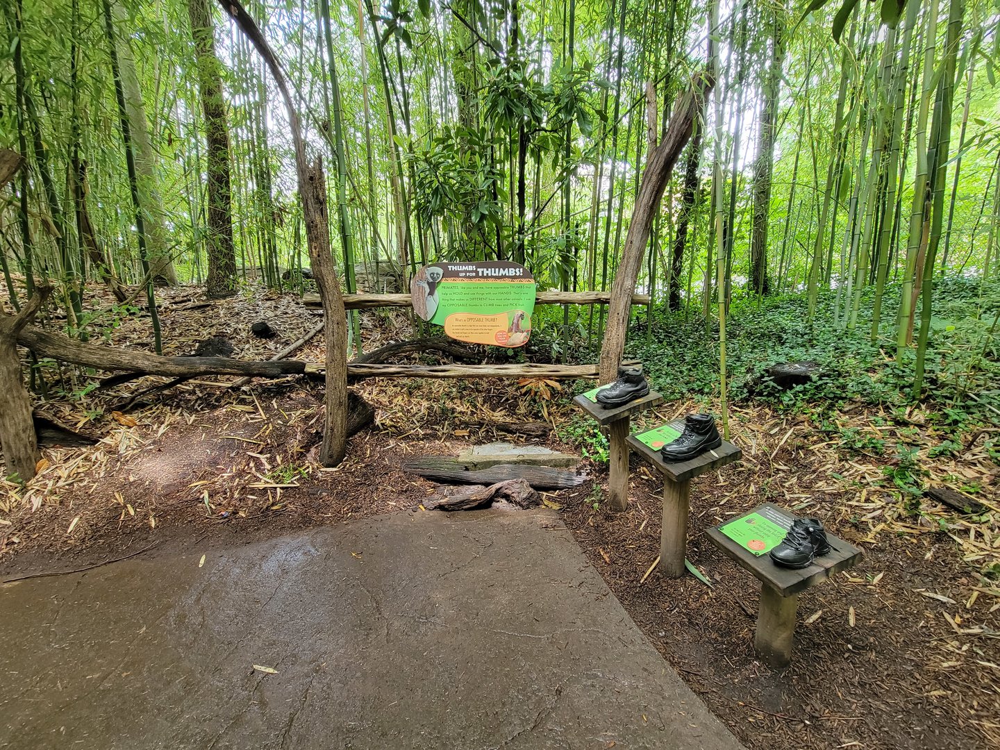 Cincinnati Zoo 5/22 - Jungle Trails, thumbs up for thumbs