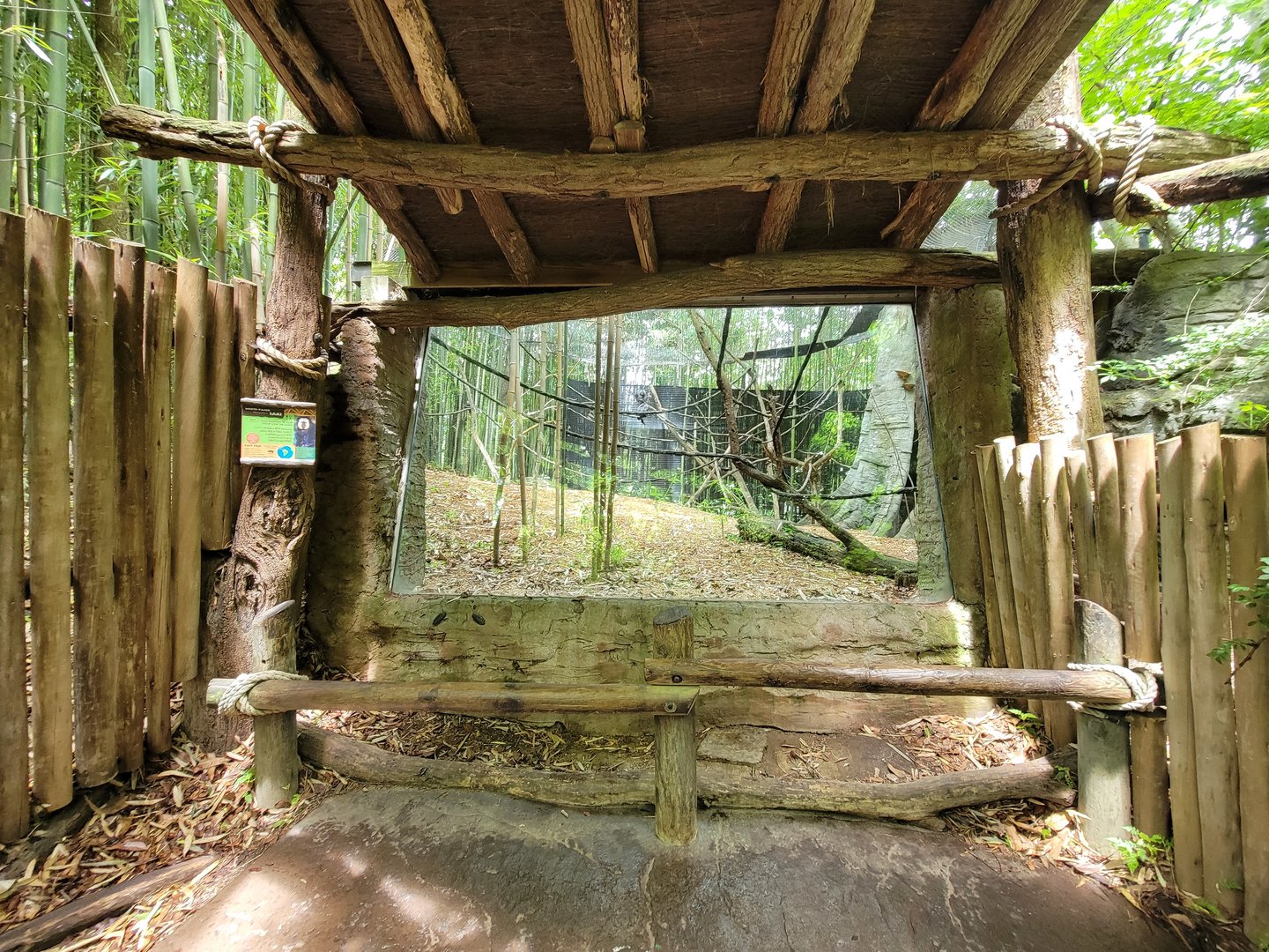 Cincinnati Zoo 5/22 - Jungle Trails, white-faced saki