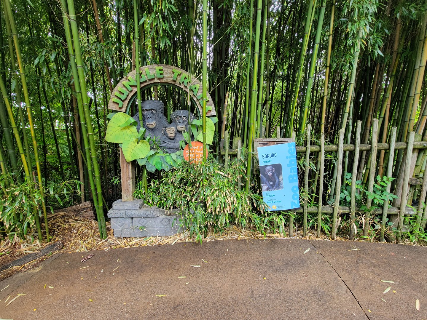Cincinnati Zoo 5/22 - Jungle Trails