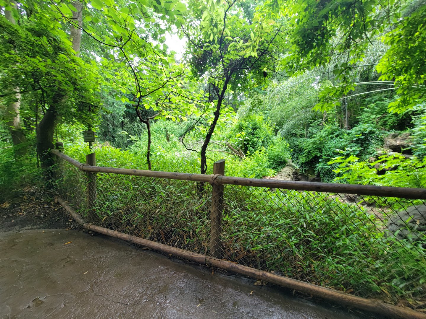 Cincinnati Zoo 5/22 - Jungle Trails