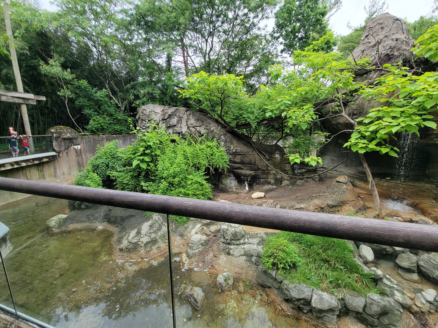 Cincinnati Zoo 5/22 - Lemur Lookout