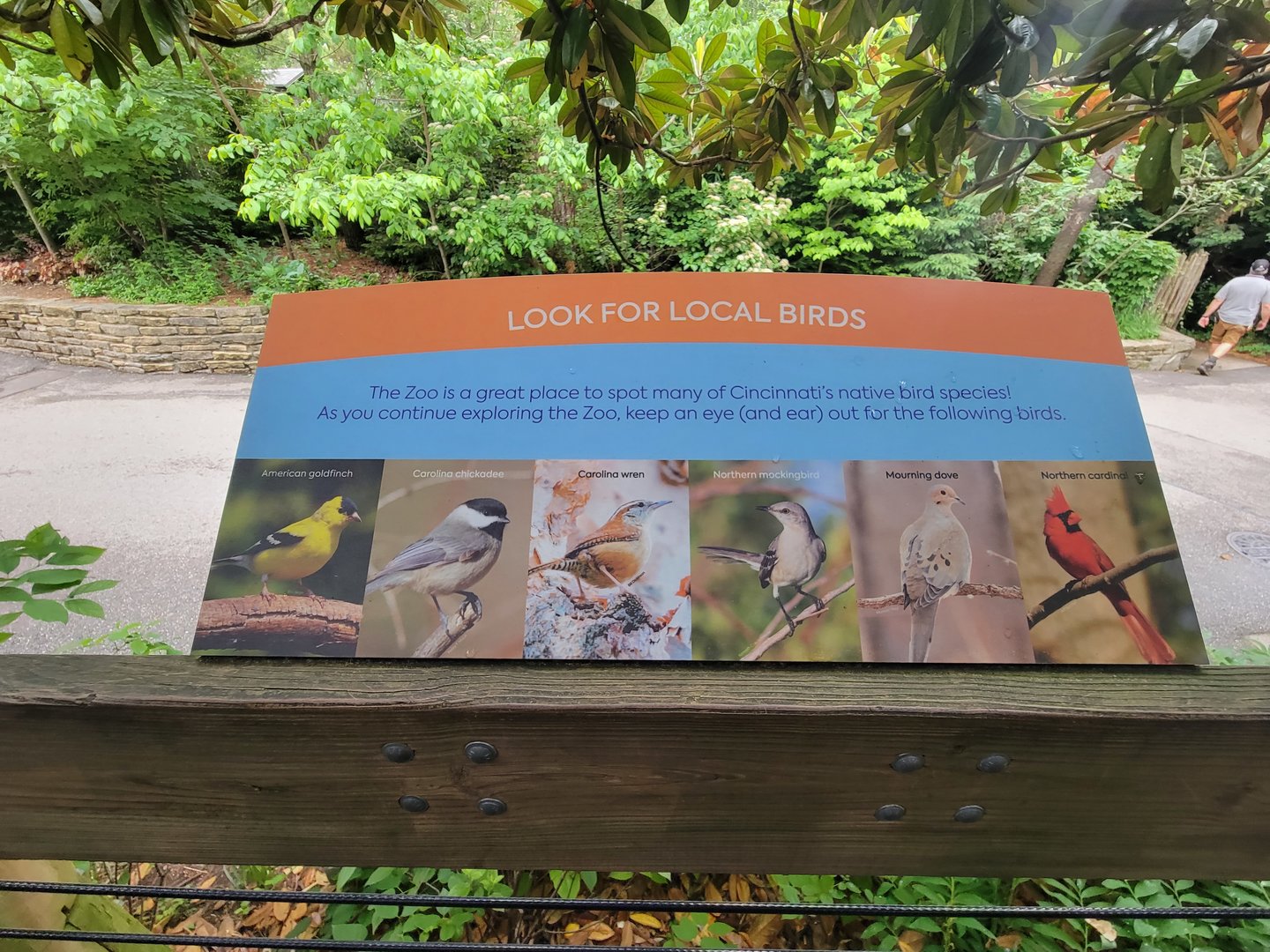 Cincinnati Zoo 5/22 - Look for local birds in the zoo