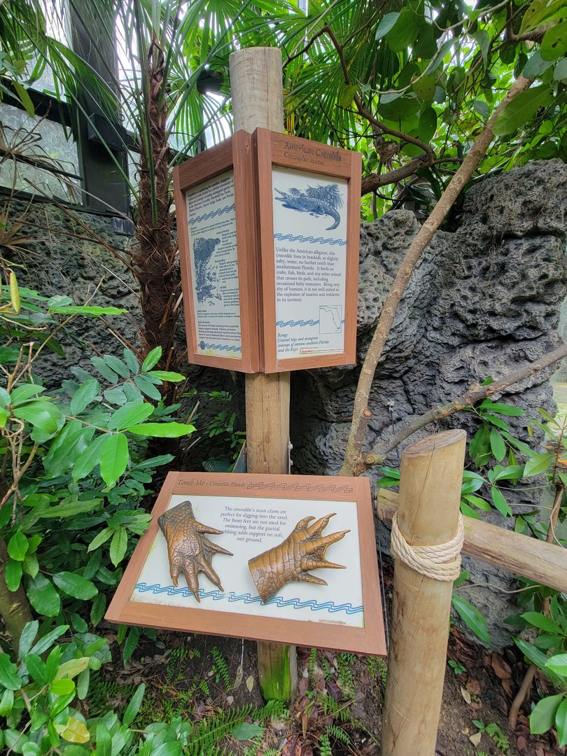 Cincinnati Zoo 5/22 - Manatee Springs, American crocodile