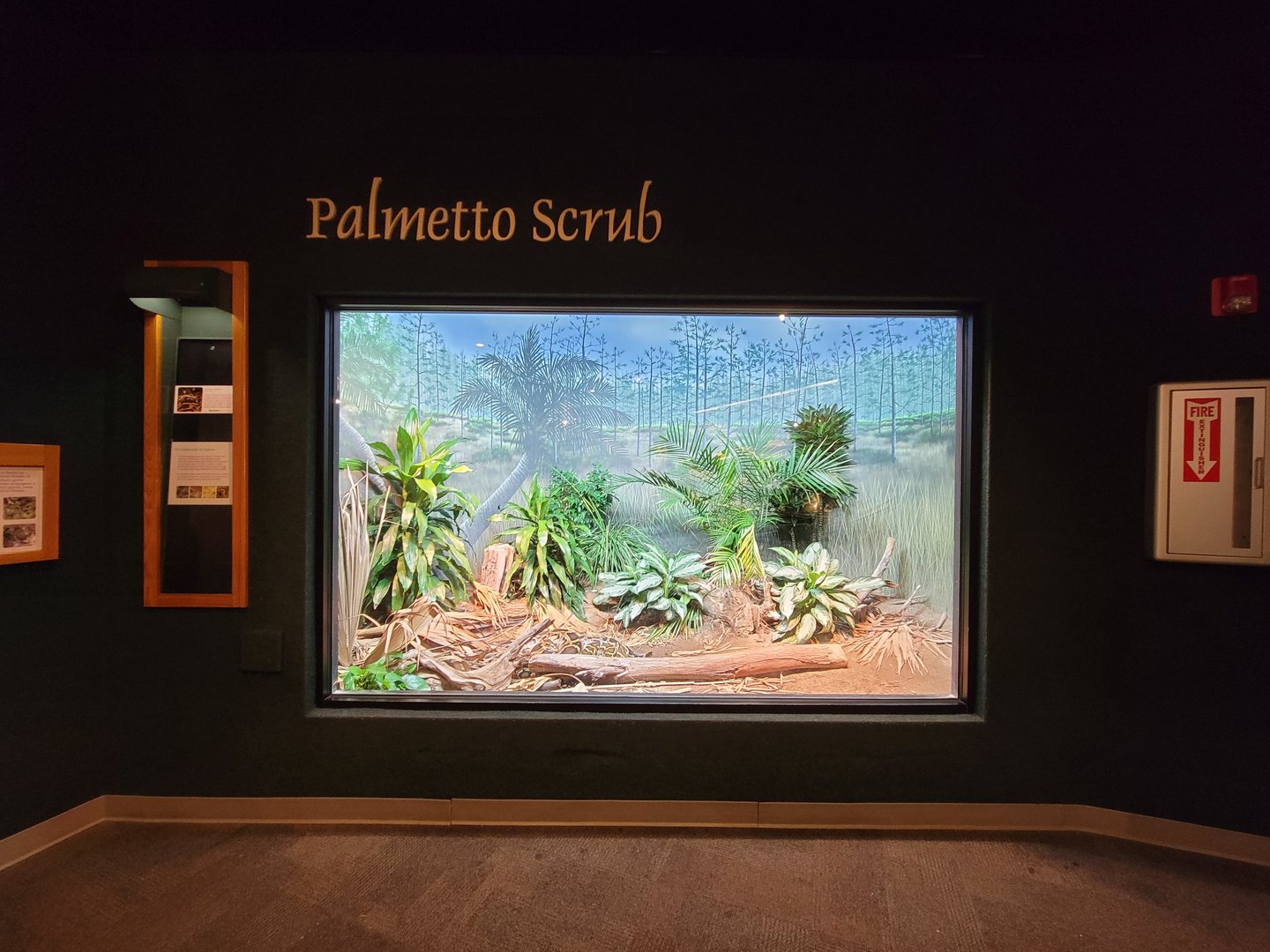 Cincinnati Zoo 5/22 - Manatee Springs, burmese python