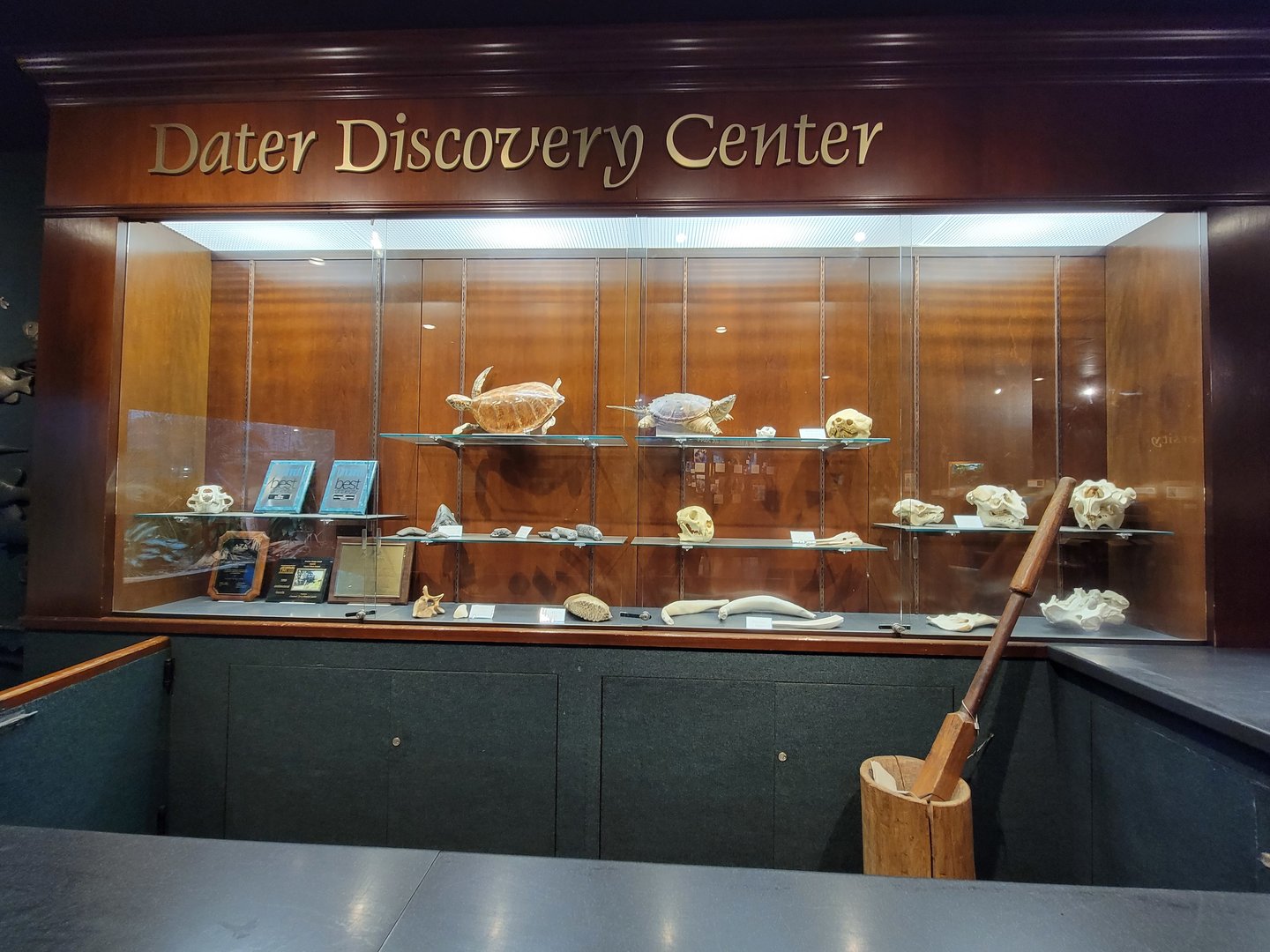 Cincinnati Zoo 5/22 - Manatee Springs, Dater Discovery Center