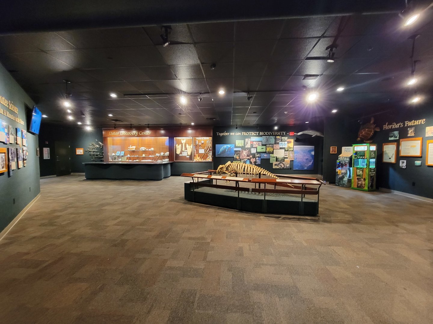 Cincinnati Zoo 5/22 - Manatee Springs, last room