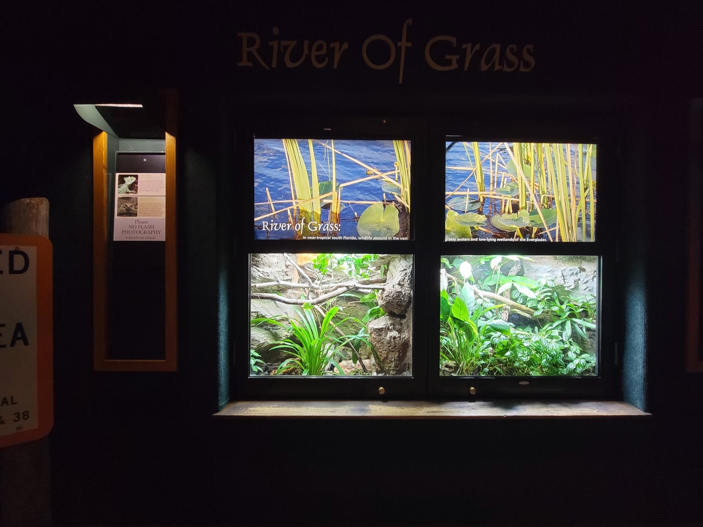 Cincinnati Zoo 5/22 - Manatee Springs, plumed basilisk / Amazon milk frog