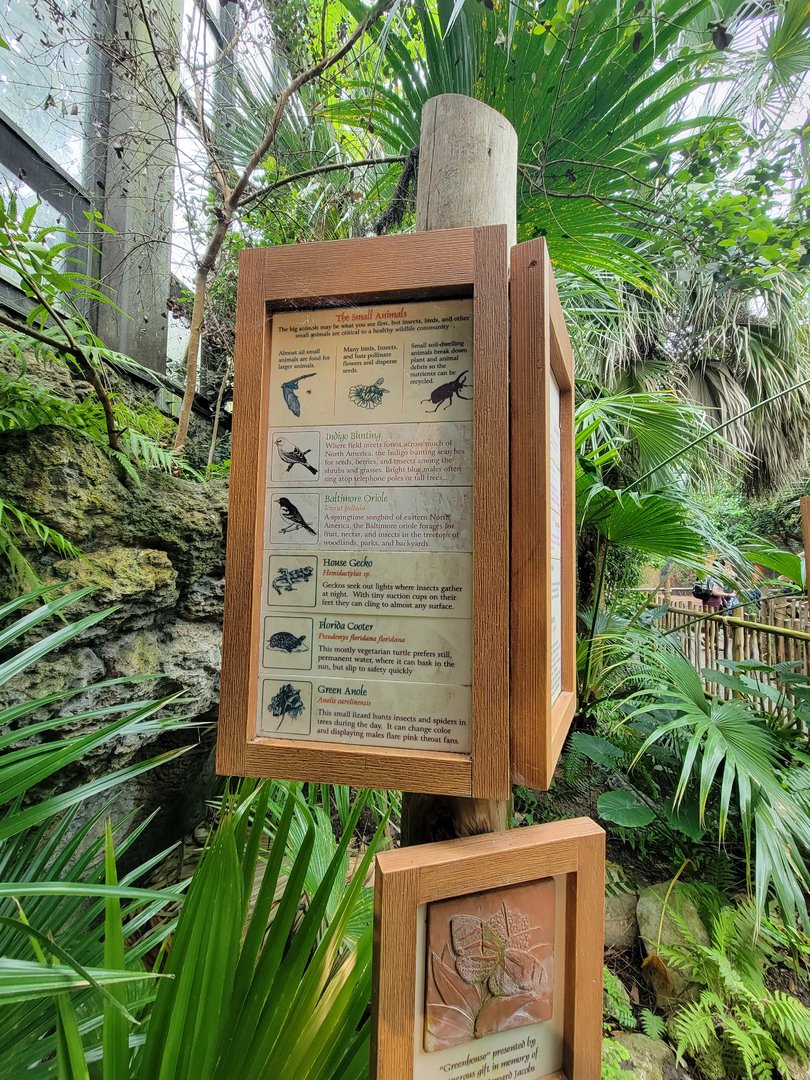 Cincinnati Zoo 5/22 - Manatee Springs, supposed free-flight/range animals