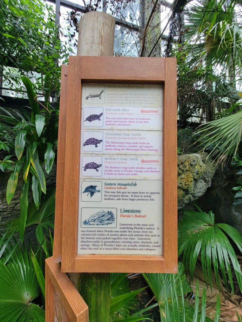 Cincinnati Zoo 5/22 - Manatee Springs, supposed turtles in ponds