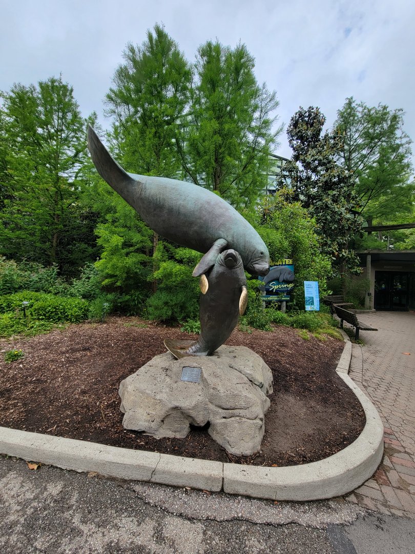 Cincinnati Zoo 5/22 - Manatee Springs