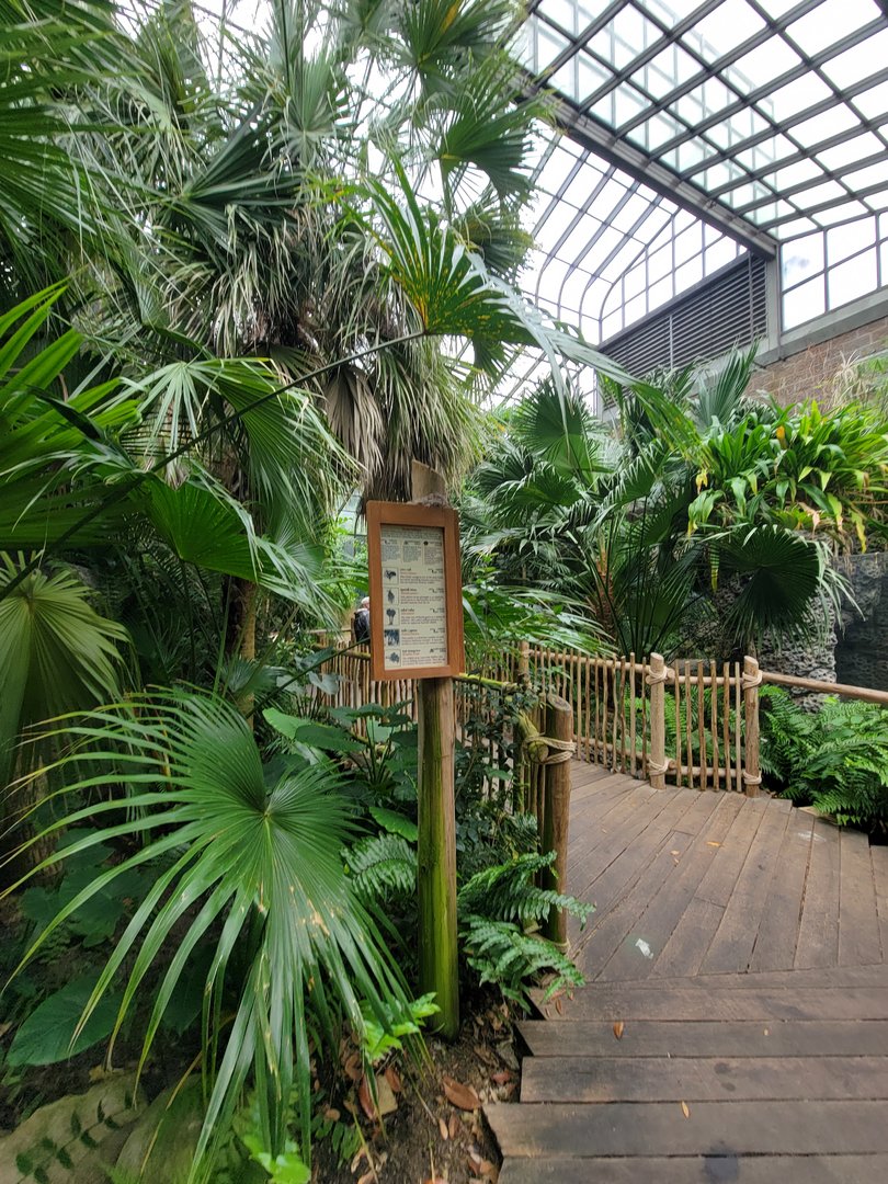 Cincinnati Zoo 5/22 - Manatee Springs