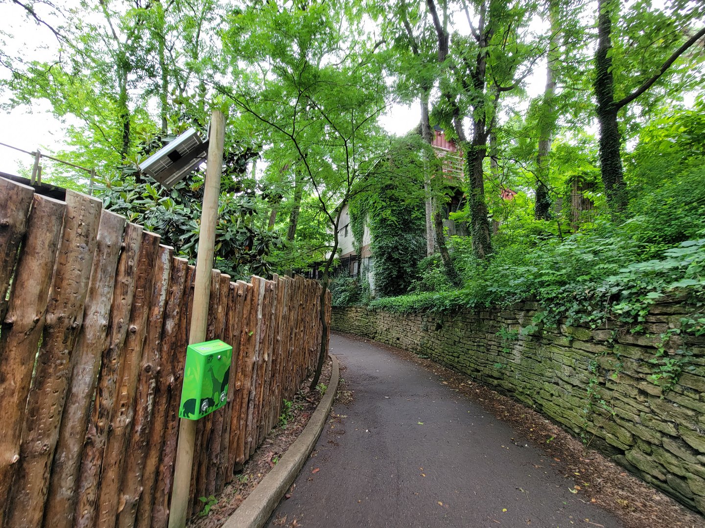 Cincinnati Zoo 5/22 - Path