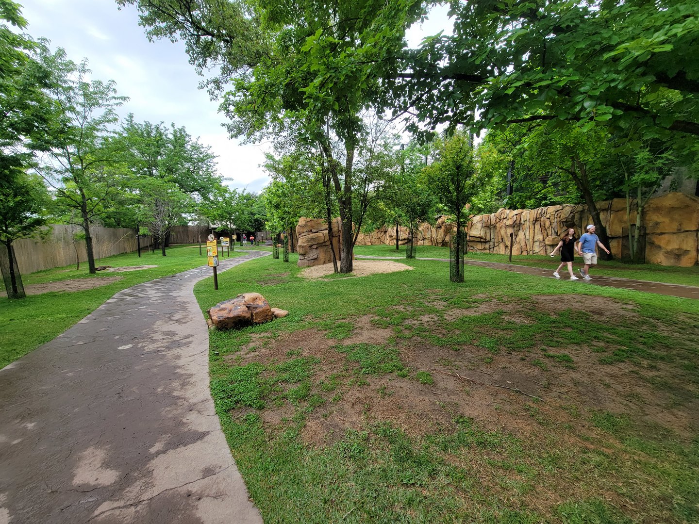 Cincinnati Zoo 5/22 - Roo Valley, kangaroo walk-through