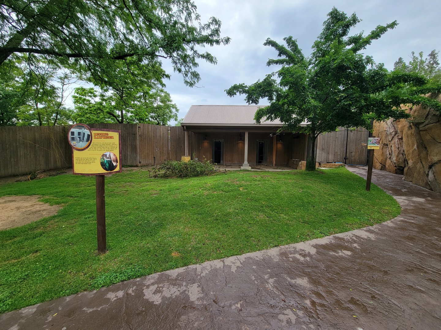 Cincinnati Zoo 5/22 - Roo Valley, kangaroo walk-through