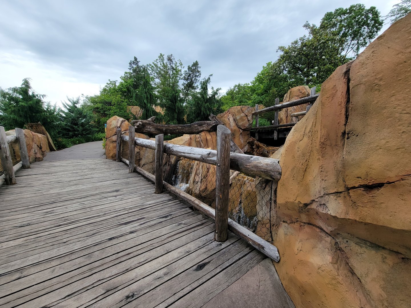 Cincinnati Zoo 5/22 - Roo Valley, little blue penguin exhibit path above