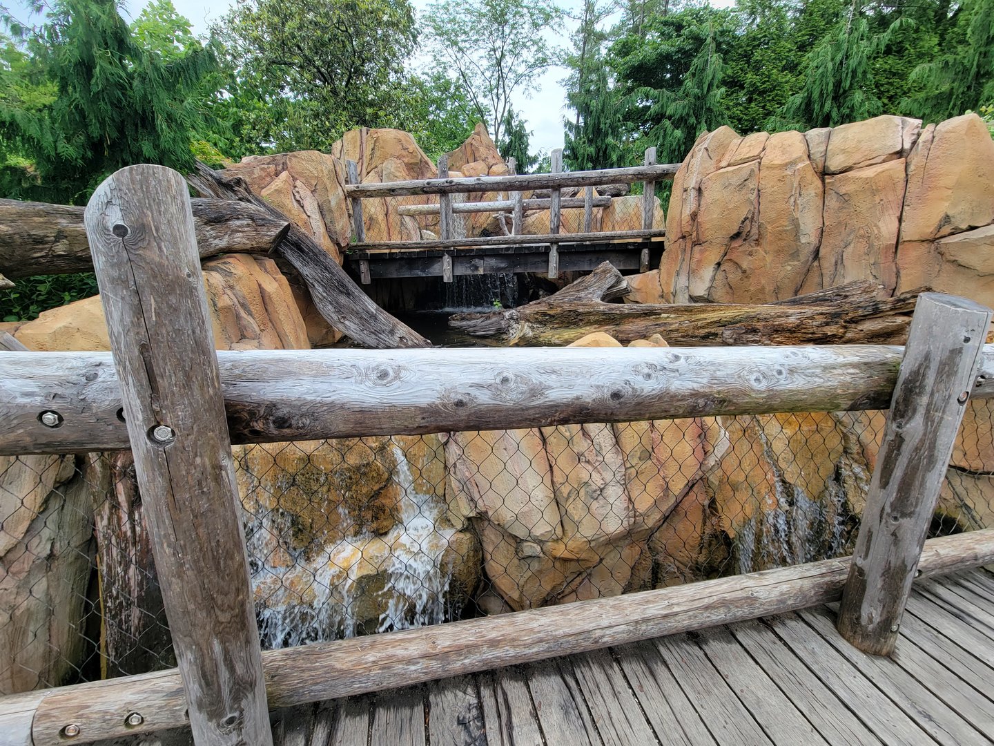 Cincinnati Zoo 5/22 - Roo Valley, little blue penguin exhibit path above