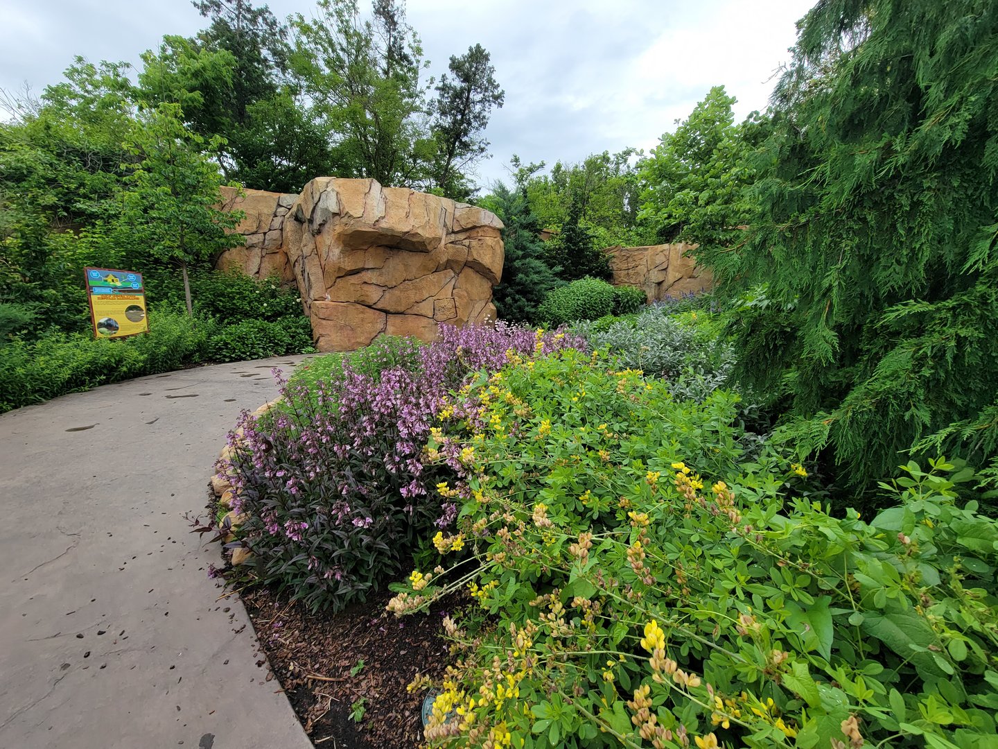 Cincinnati Zoo 5/22 - Roo Valley, little blue penguin exhibit path above