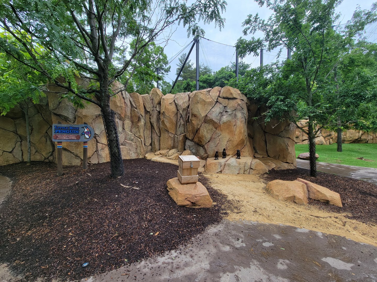 Cincinnati Zoo 5/22 - Roo Valley, little blue penguin statue