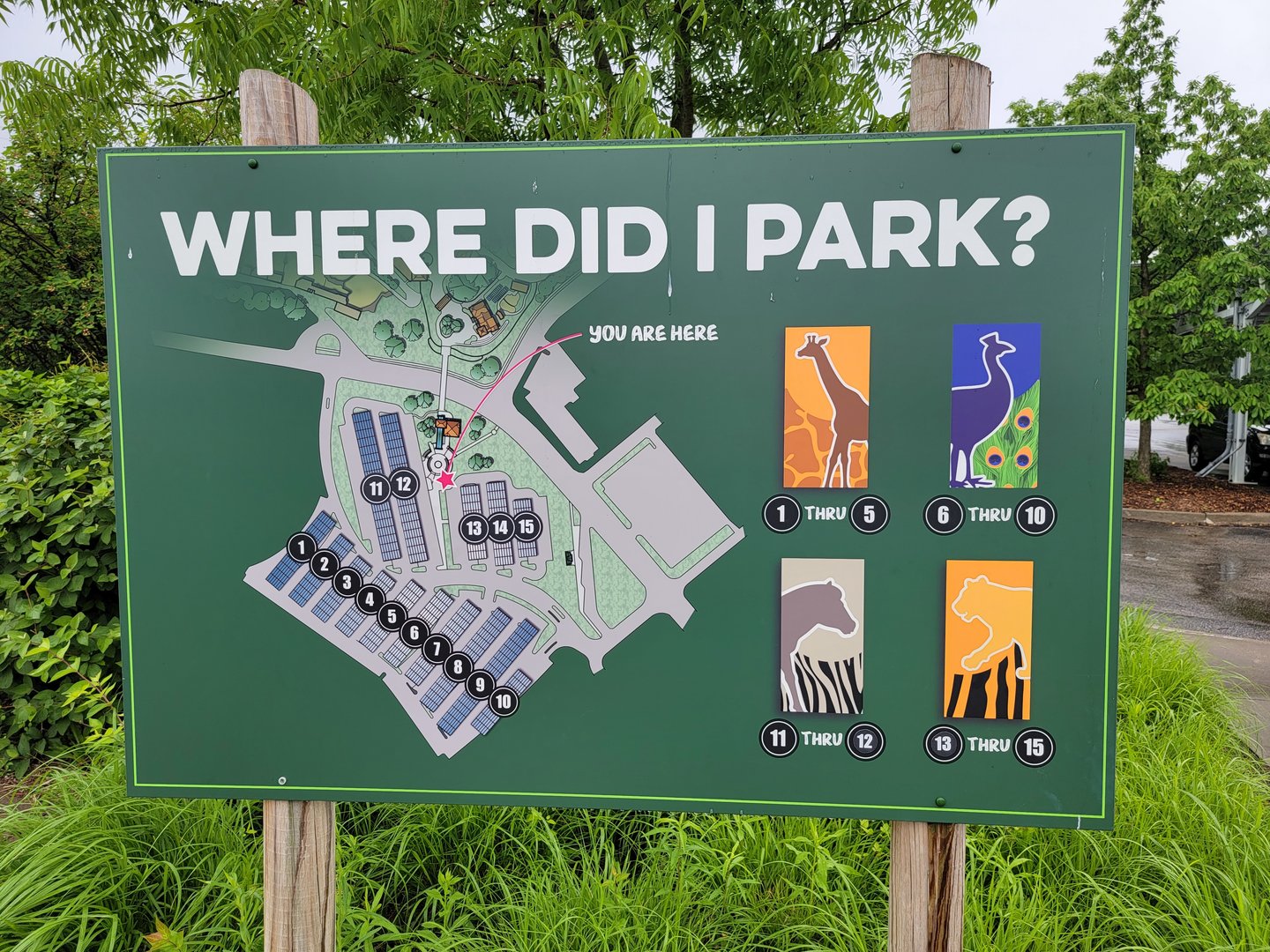 Cincinnati Zoo 5/22 - The parking lot