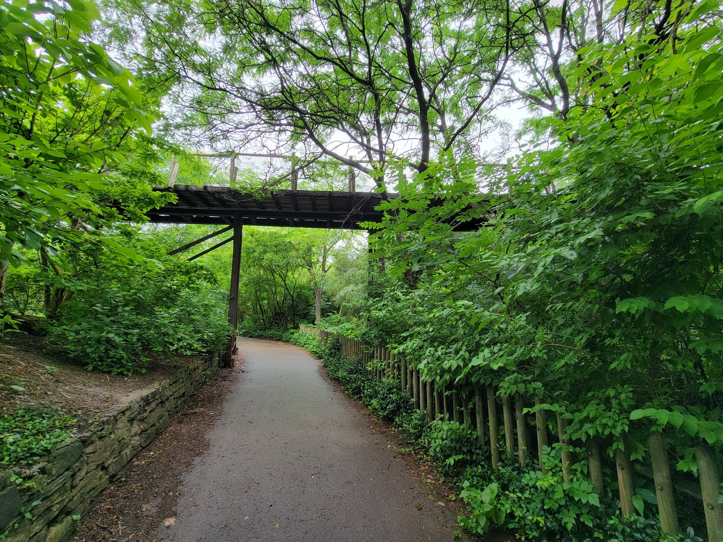 Cincinnati Zoo 5/22 - Train path over flamingos