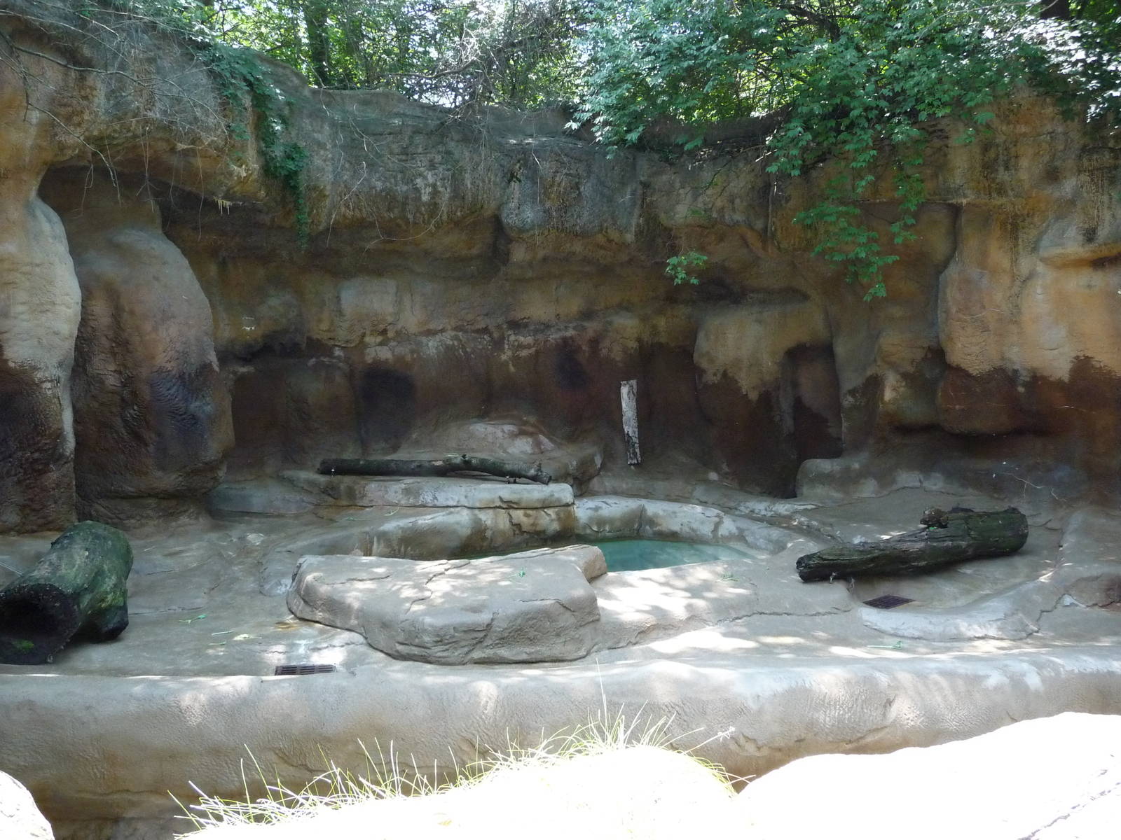 Cincinnati Zoo - American black bear grotto