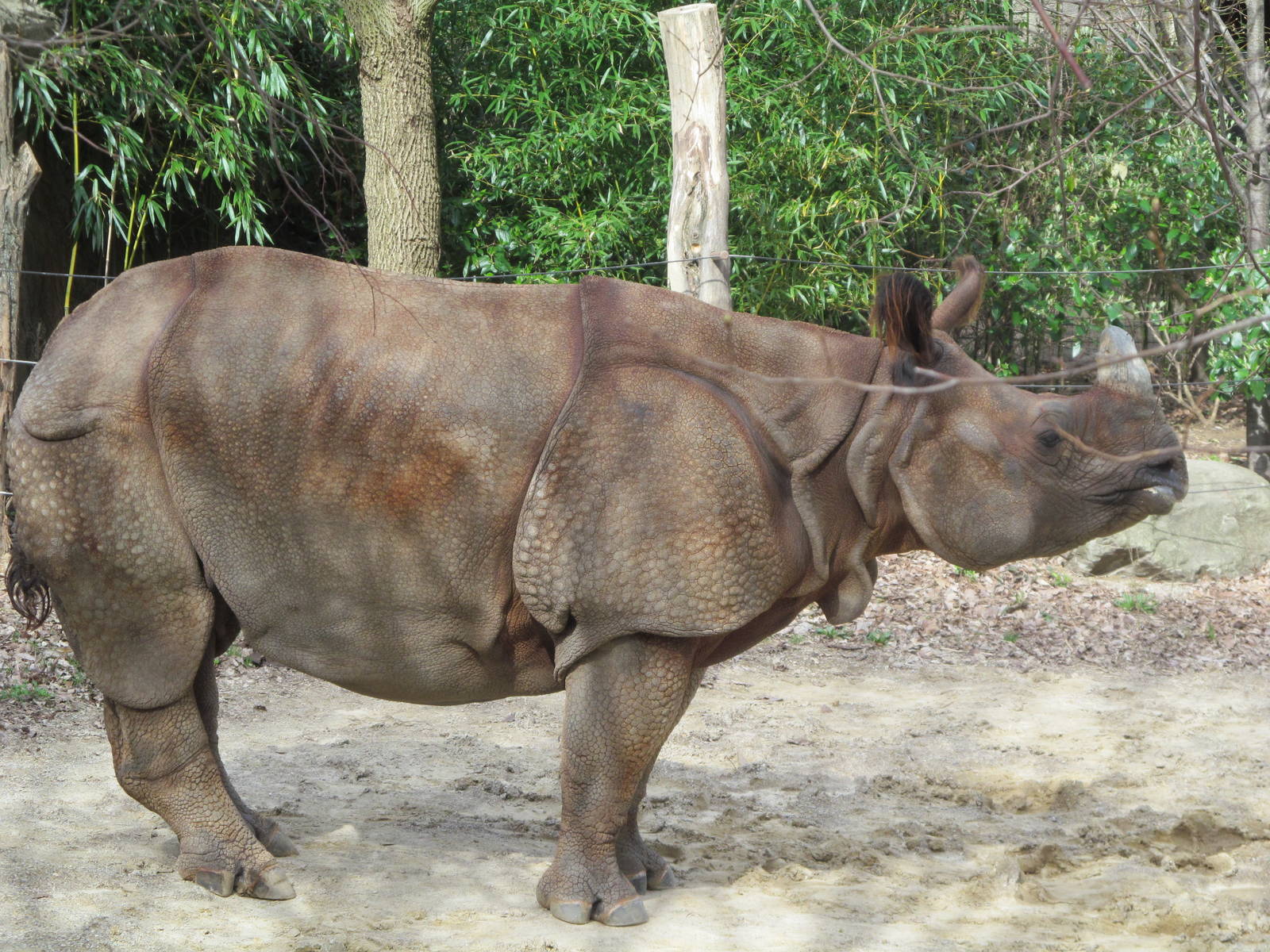 Cincinnati Zoo April 2013