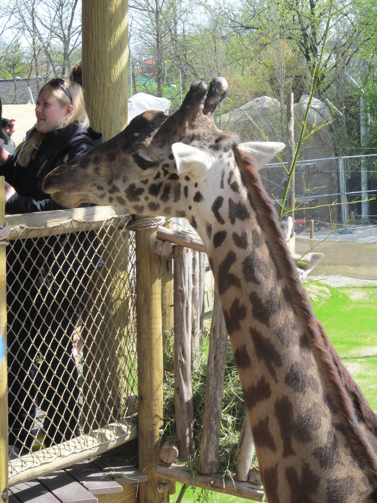 Cincinnati Zoo April 2013