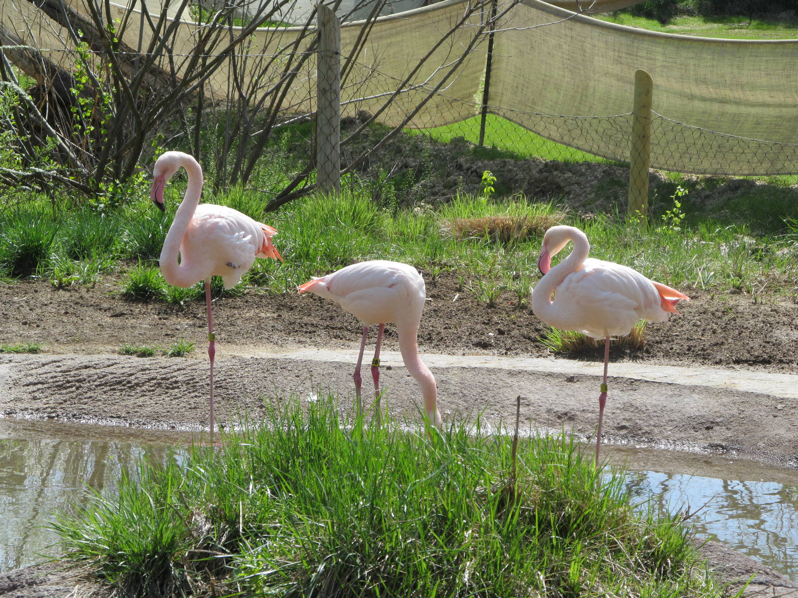 Cincinnati Zoo April 2013