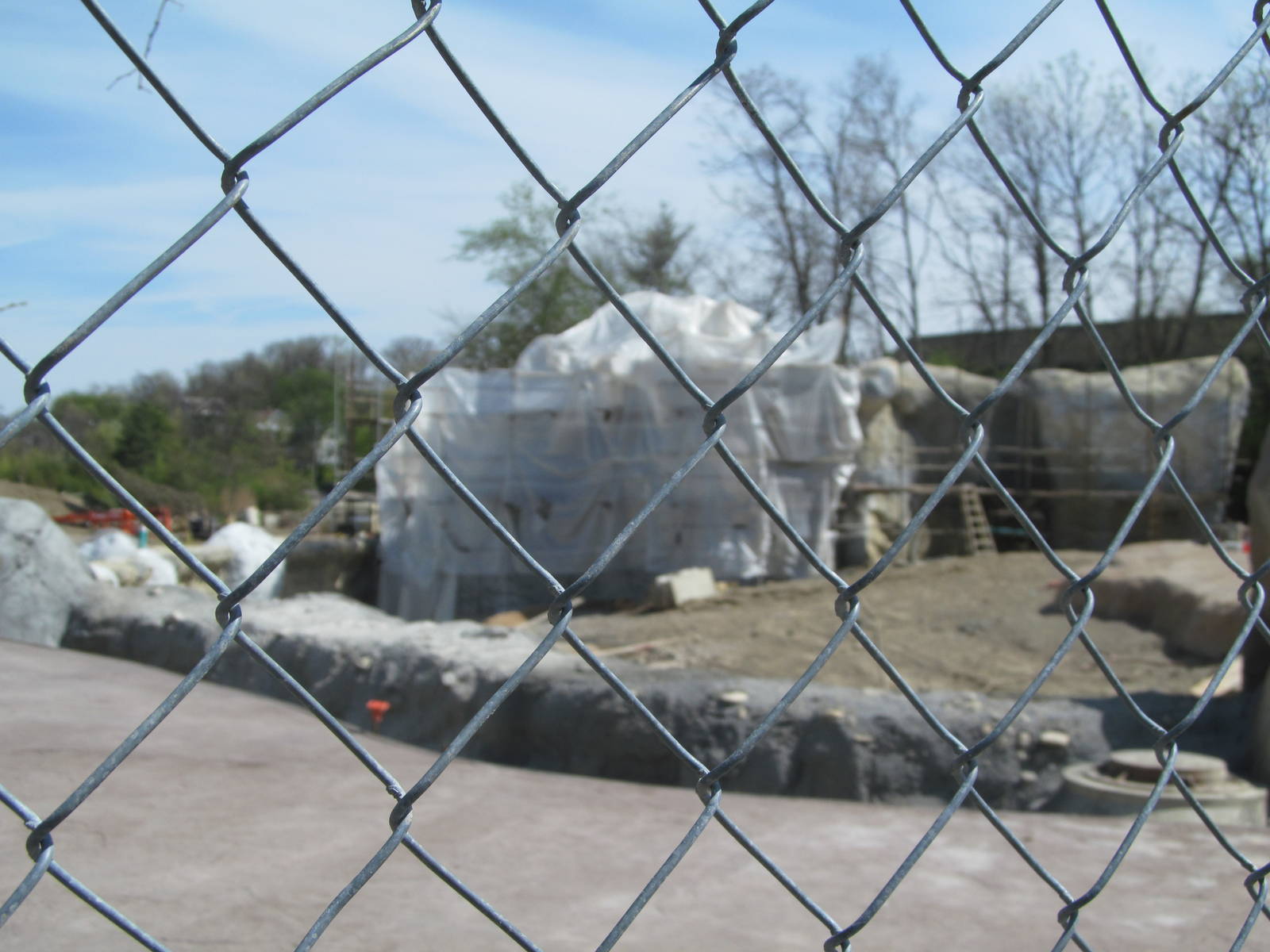 Cincinnati Zoo April 2013