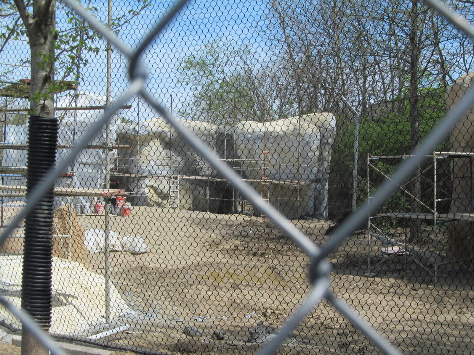 Cincinnati Zoo April 2013