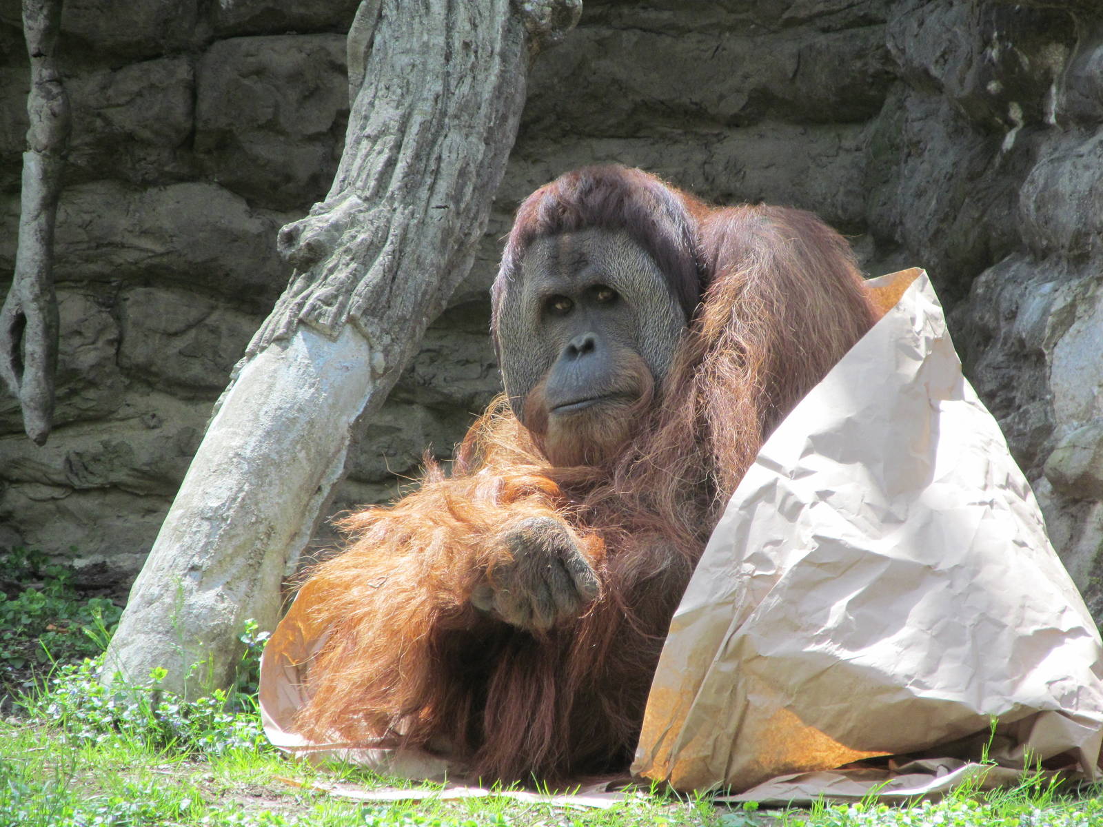 Cincinnati Zoo April 2013