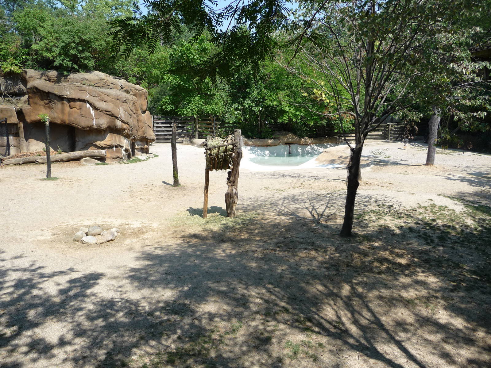Cincinnati Zoo - Bongo Paddock