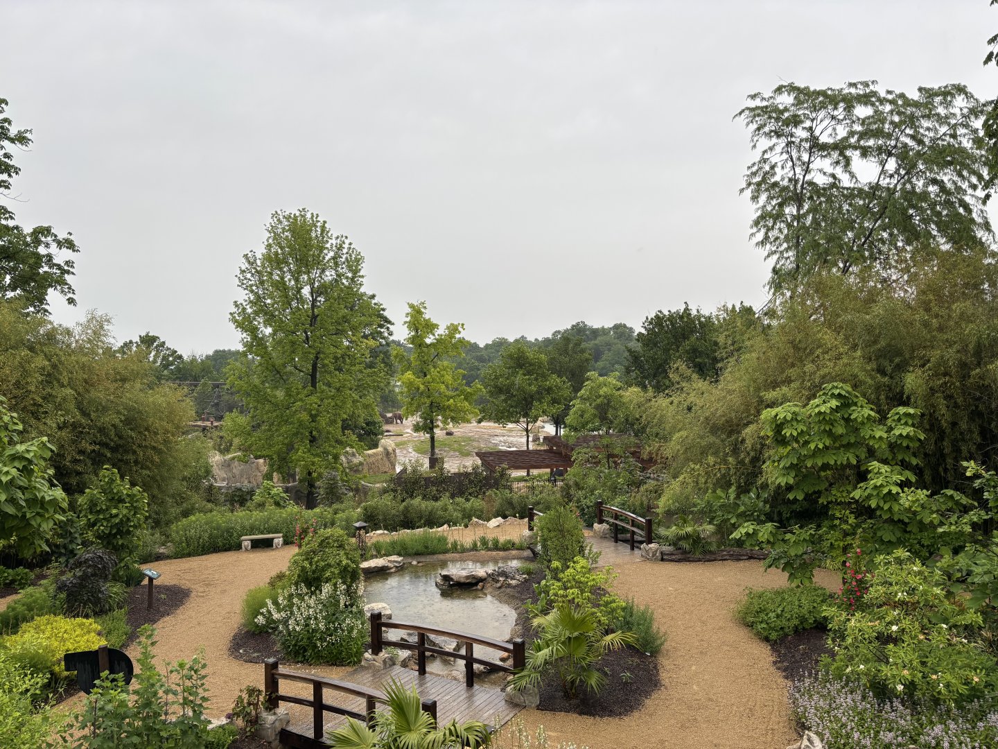 Cincinnati Zoo - Elephant Trek - View from the Komminsk Family Asian Waterfall Garden
