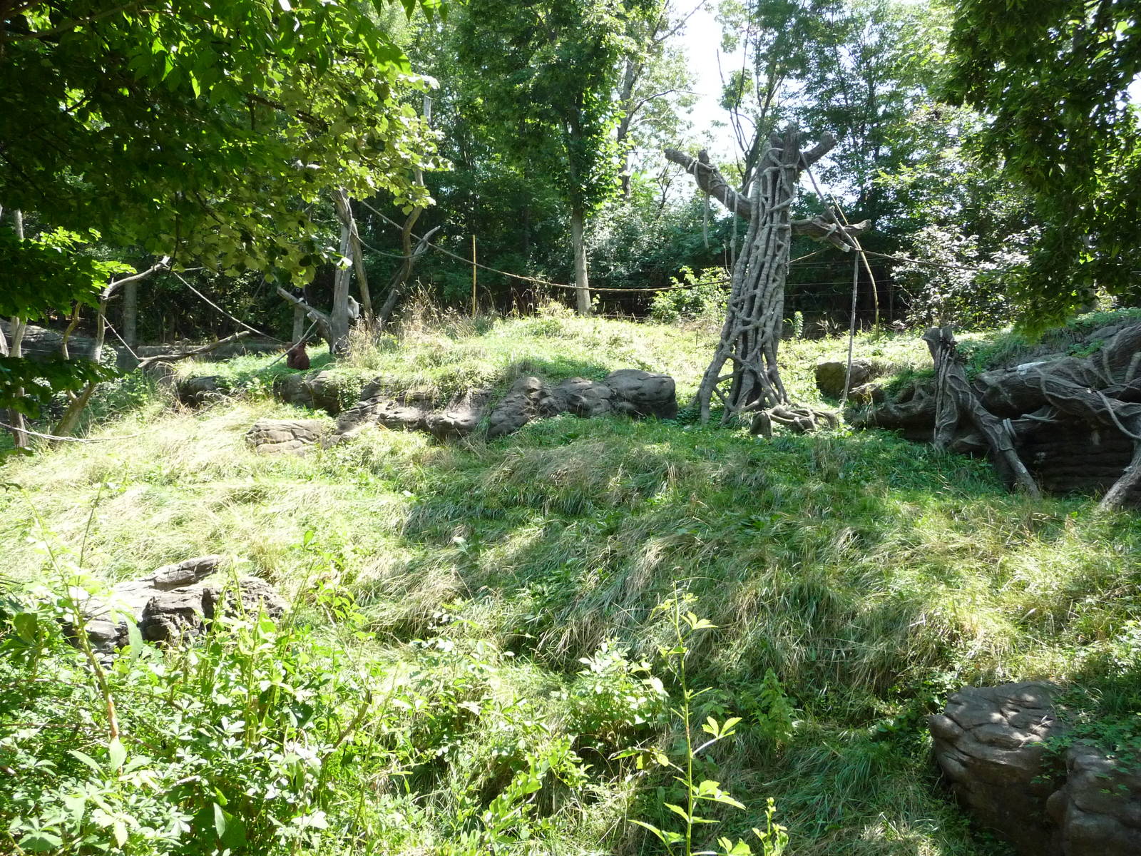 Cincinnati Zoo - Orangutan/Gibbon Exhibit